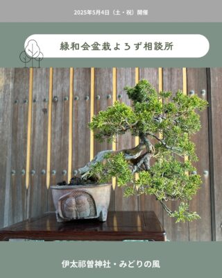 緑和会盆栽よろず相談所