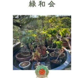 緑和会